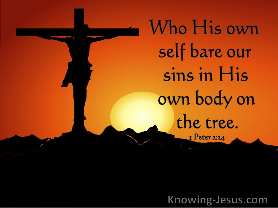 1 Peter 2 24 Who His Own Self Bare Our Sins In His Own Body utmost 04 06